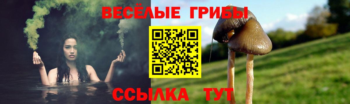 Псилоцибиновые грибы Cubensis  Вход с VPN  Юрга 